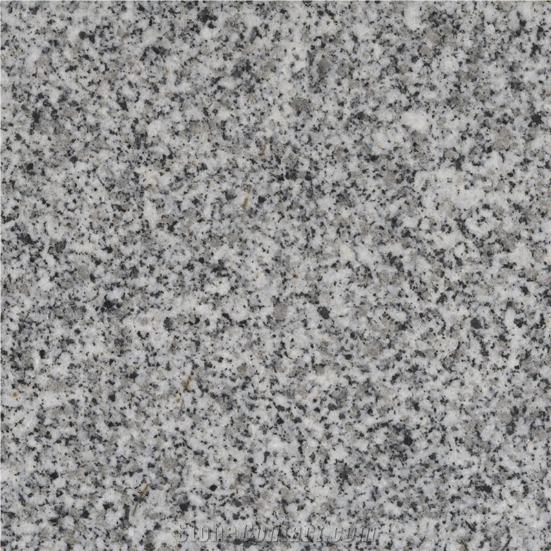Cinza Evora Granite importance=