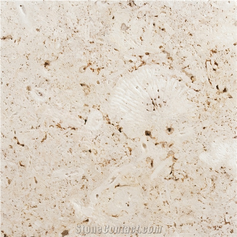 Classic Coral Stone Tile