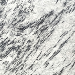 Coahuila Princess White Marble