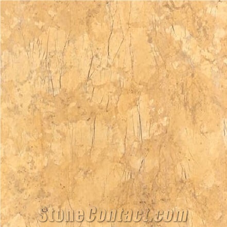 Codru B Macimo Tile