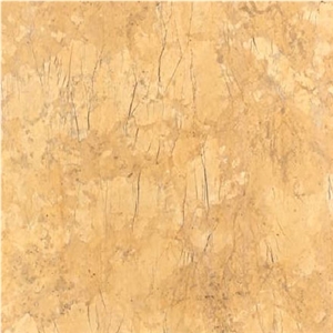 Codru B Macimo Tile