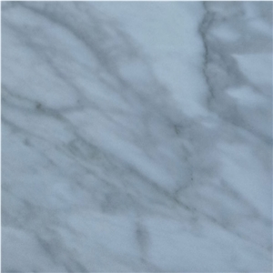 Coin Blanco Marble