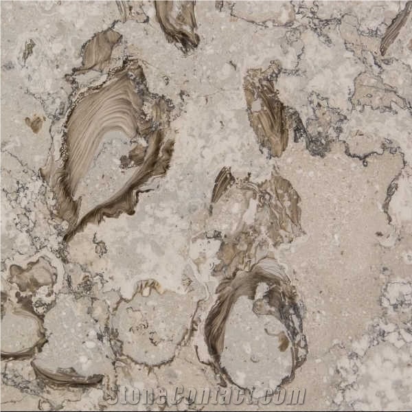 Conchiglia Rara Marble importance=