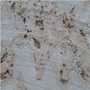 Coralina Beige Coral Stone