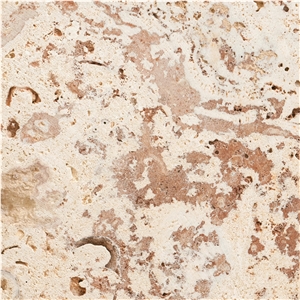 Coralina Gold Coral Stone