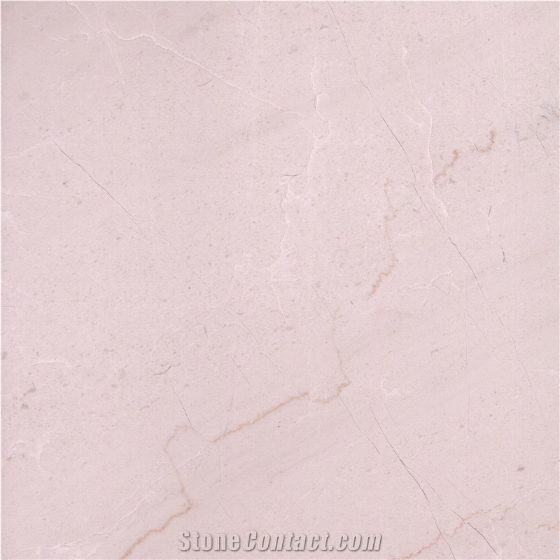 Cream Pino importance=
