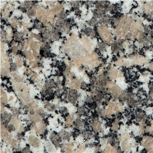 Crema Julia Granite Tile