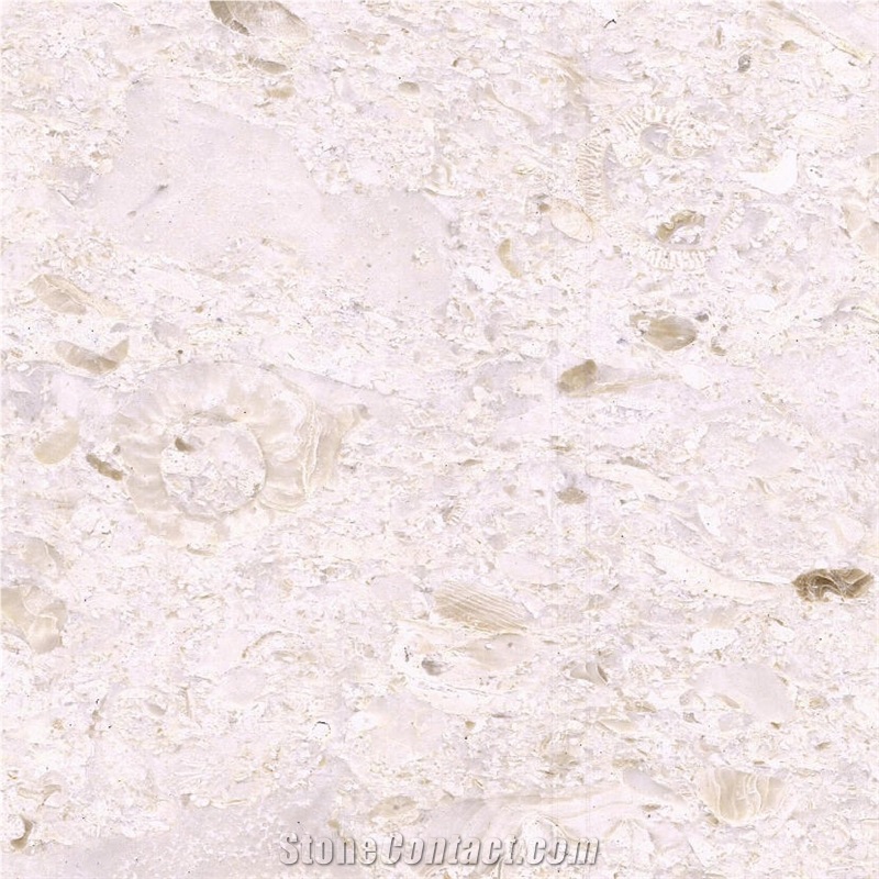 Crema Pearl Limestone Tile