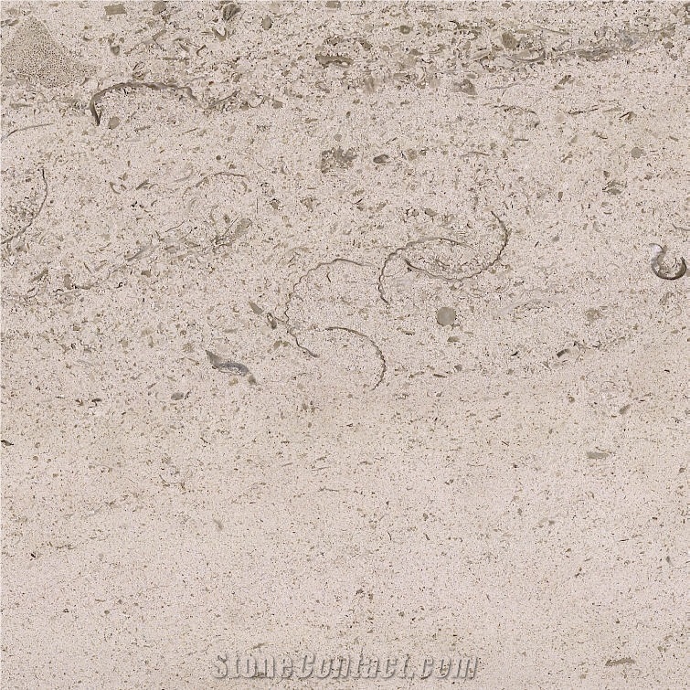 Crema Raquel Limestone importance=