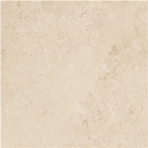 Crema Spot Limestone