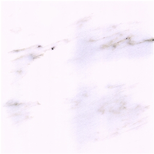 Creme El Rei Marble Tile