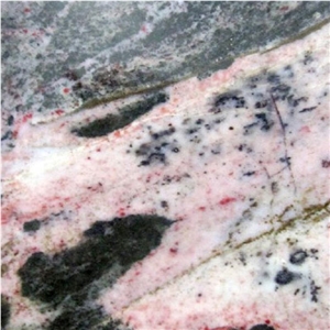 Crocodile Bamboo Quartzite