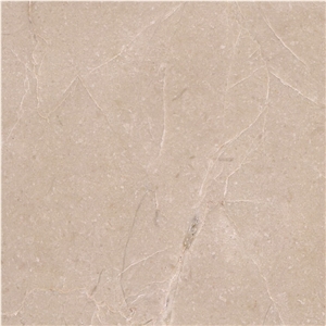 Crocodile Marble
