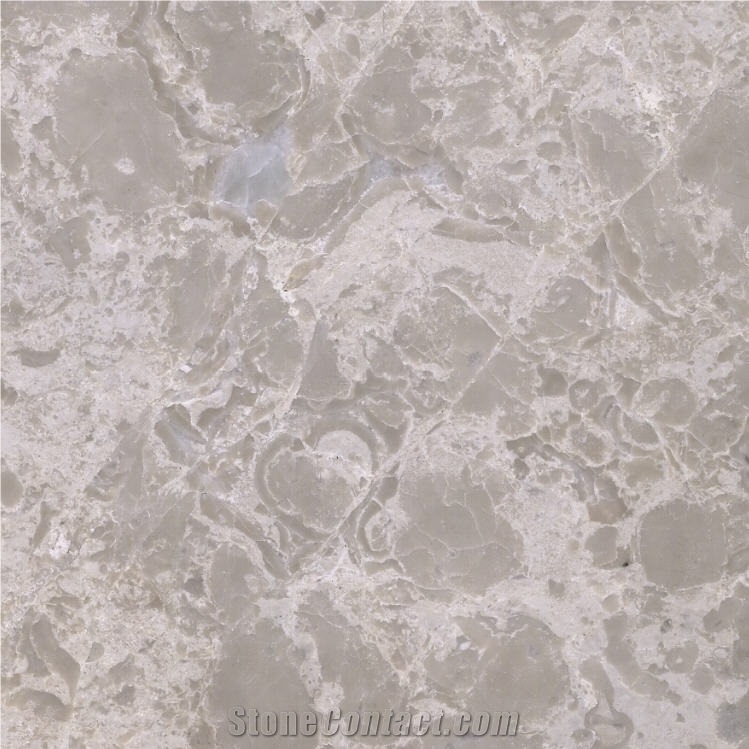 Daisy Grey Marble Tile