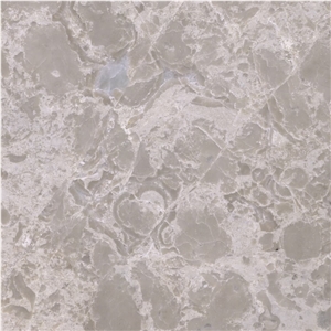 Daisy Grey Marble Tile