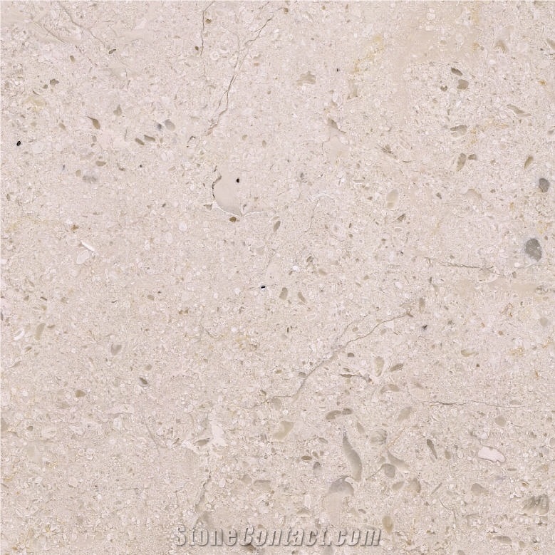 Dalle de Lignon Limestone importance=