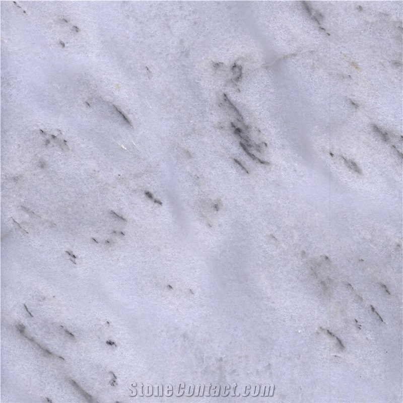 Dalmania Marble importance=