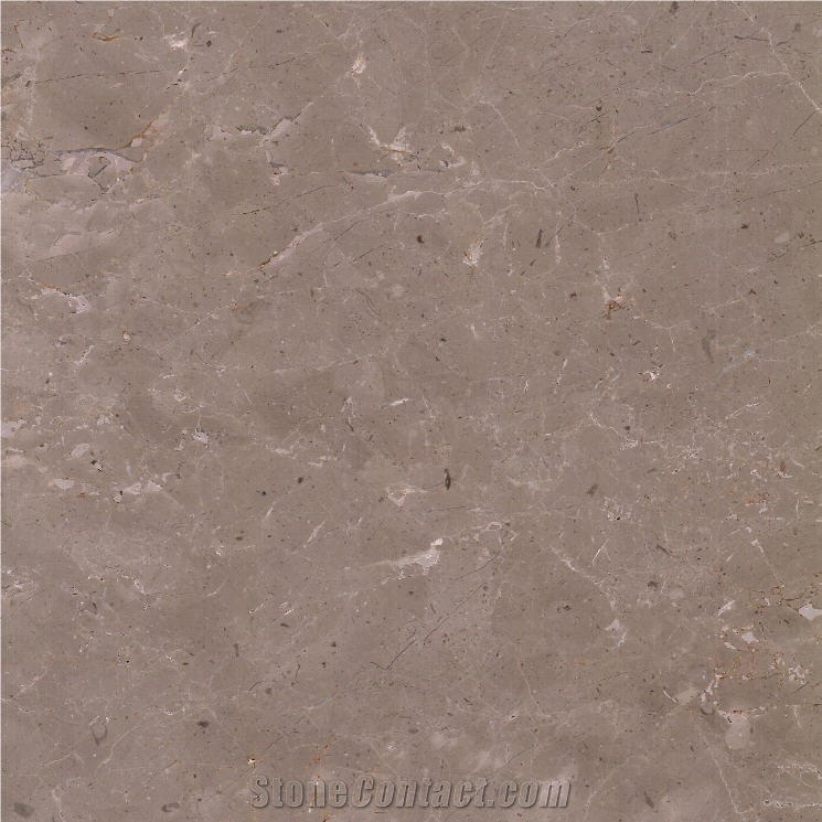 Dalya Beige importance=