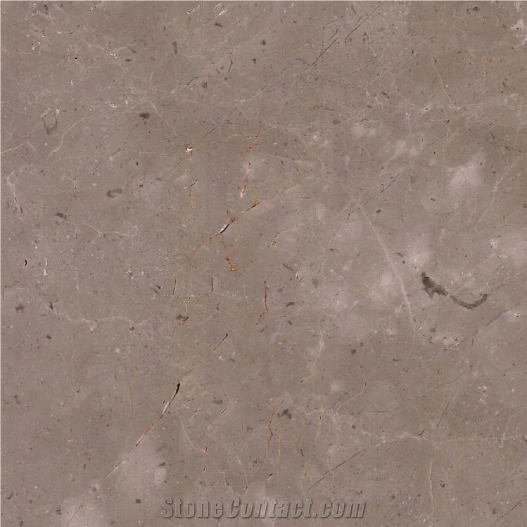Dalya Beige Tile