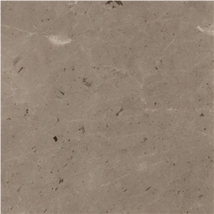 Dalya Grey Marble Tile