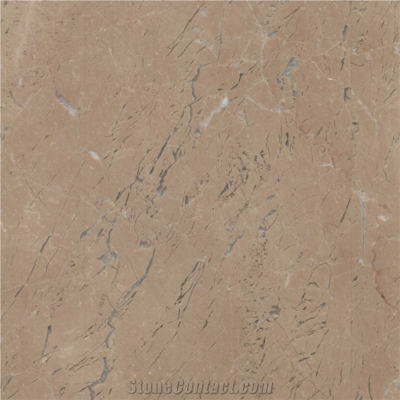 Dark Beige importance=