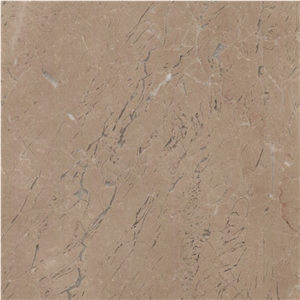 Dark Beige
