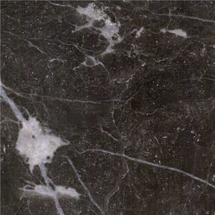 Dark Brown Marble Tile