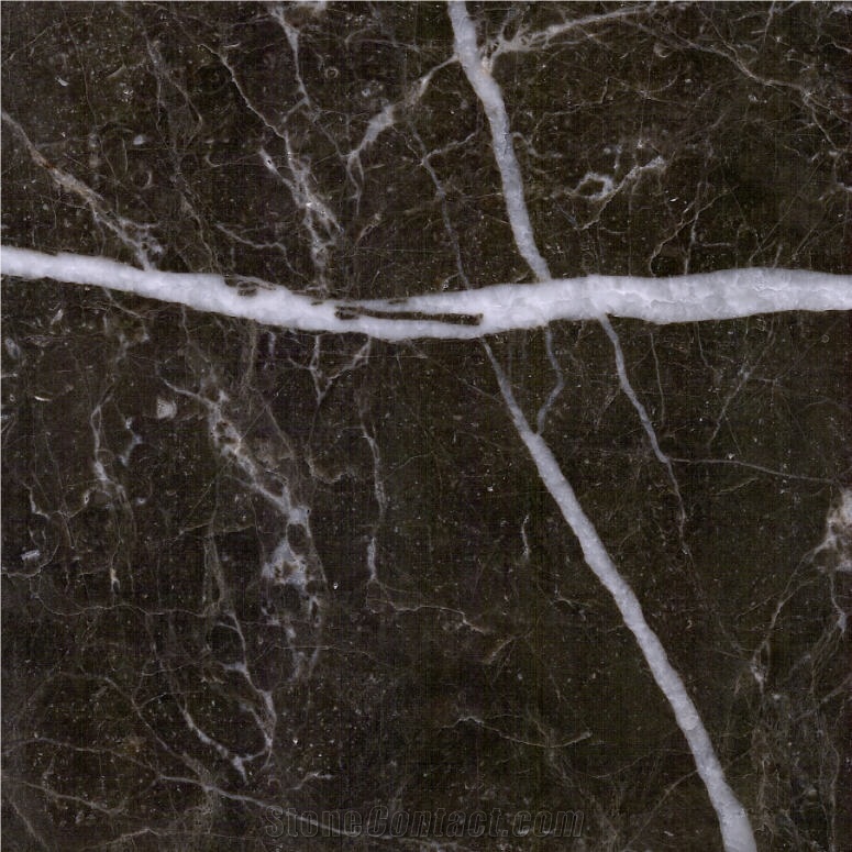 Dark Brown Marble Tile