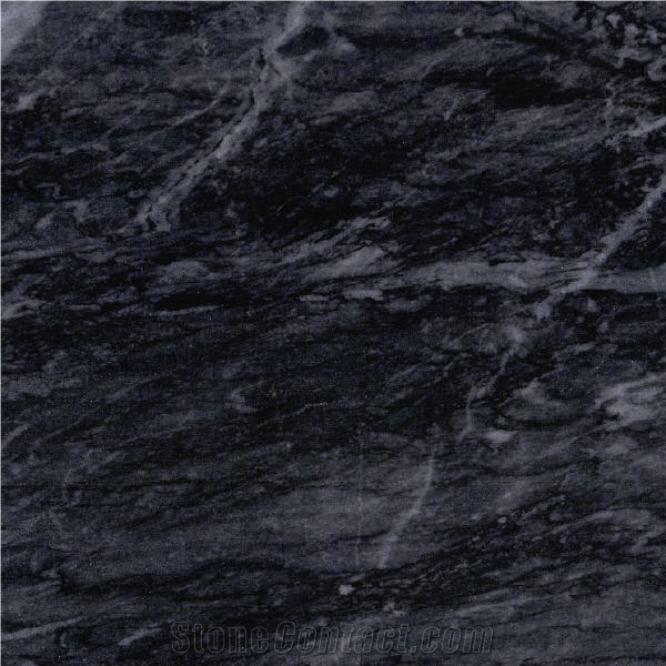 Dark Palm Marble importance=