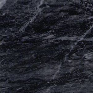Dark Palm Marble
