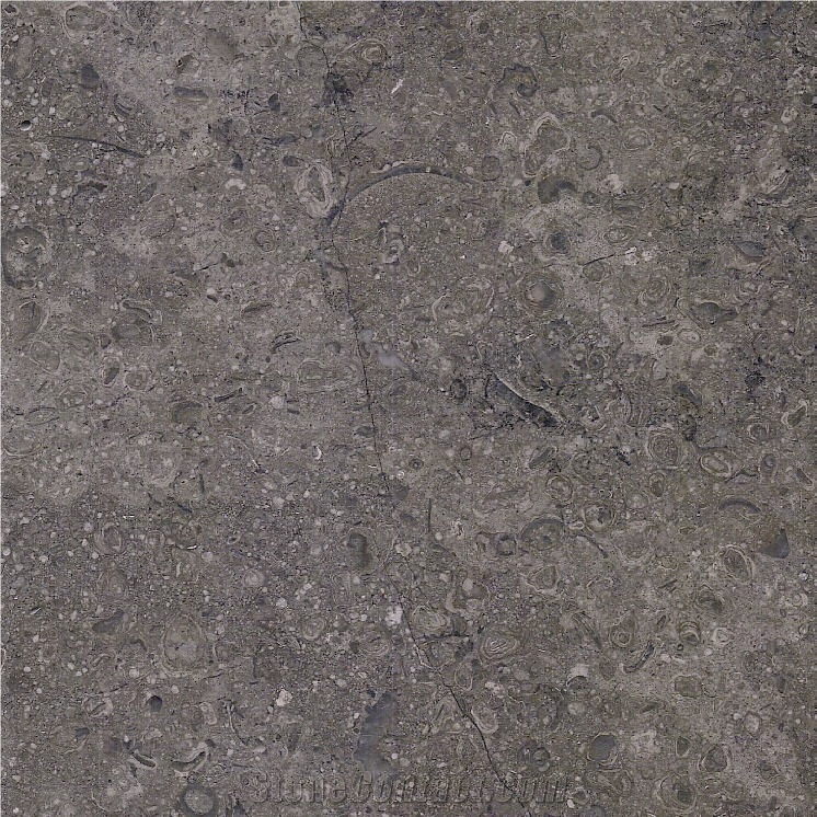 Dark Sinai Pearl Limestone Tile