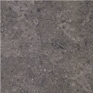 Dark Sinai Pearl Limestone Tile