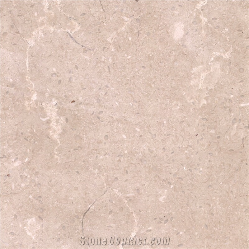 Desert Beige Limestone importance=