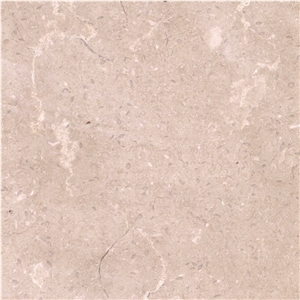 Desert Beige Limestone