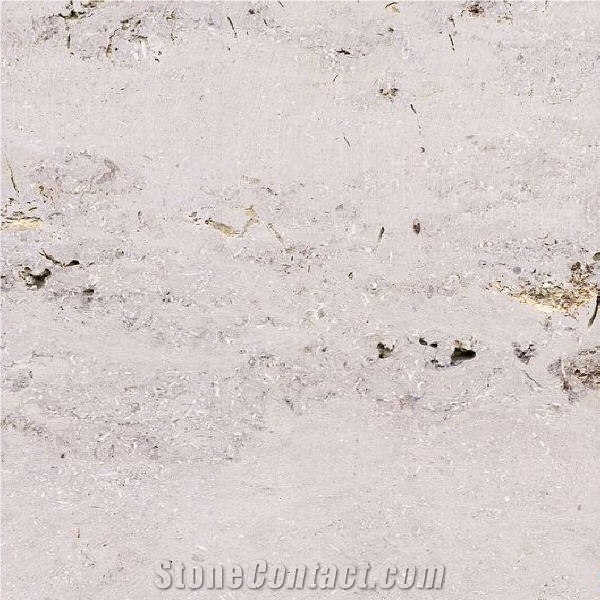 Dietfurt Travertine importance=