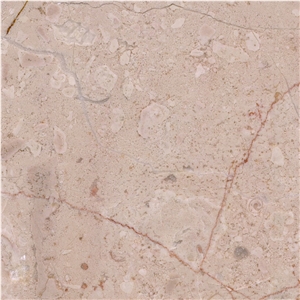 Dijon Limestone