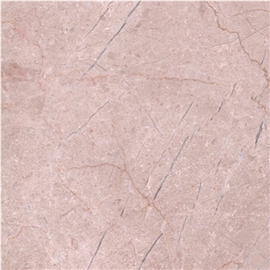 Dino Marble