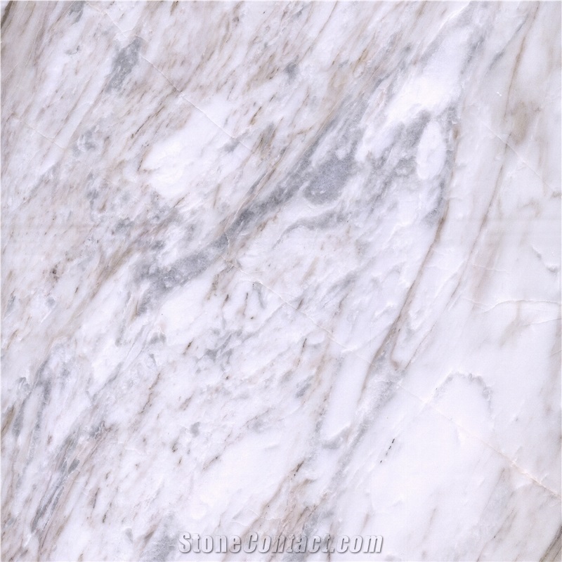 Dolce Whita Marble Tile