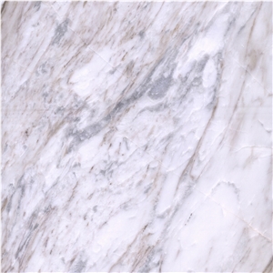 Dolce Whita Marble Tile