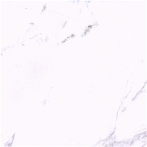 Dolit White Marble