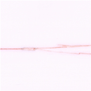 Dolomite Spider Marble Tile
