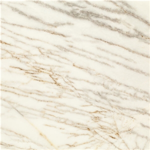 Dolomite Spider Marble Tile
