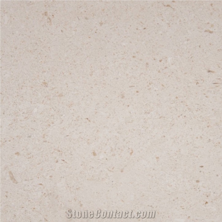 Domus Extra Limestone importance=