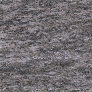 Dorato Valmalenco Gneiss