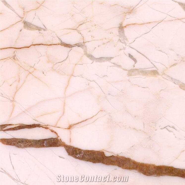 Dragon Gold Marble Tile