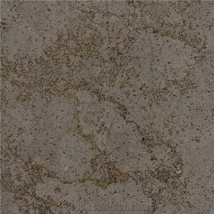 Egy Gray Light Limestone Tile