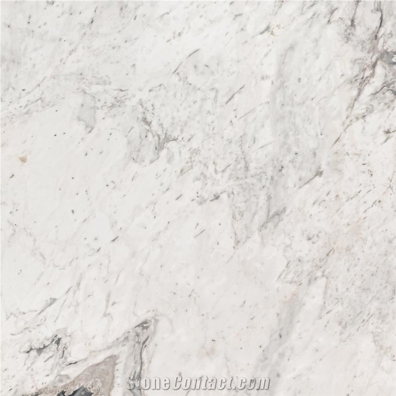 Elba Grey Marble importance=