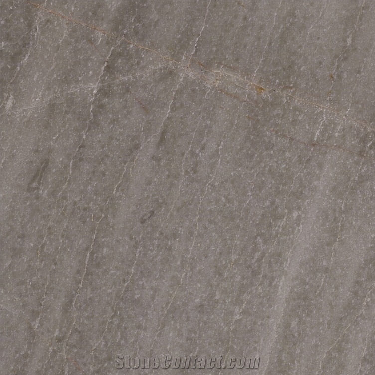 Elegant Ash Grey Marble Tile