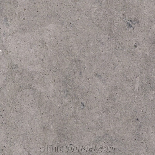 Elegant Grey Limestone importance=