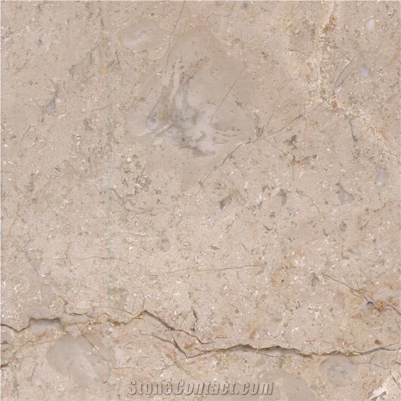 Elite Beige Marble importance=